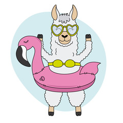 Llama with float and swimsuit © sonia