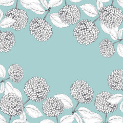 Hand drawn graphic hydrangea background. Frame template for wedding or anniversary invitation card. Raster format.