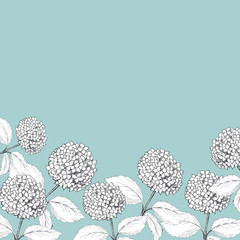 Hand drawn graphic hydrangea background. Perfect template for wedding or anniversary invitation card. Raster format.