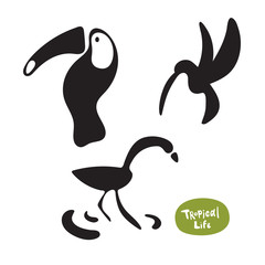 Fototapeta premium Vector set beautiful exotic birds of the Amazon rain forest. Toucan, hummingbird and flamingo doodle isolated silhouettes on white background