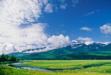 Fototapeta na wymiar Columbia River and Mount Begbie on a summer morning, British Columbia, Canada