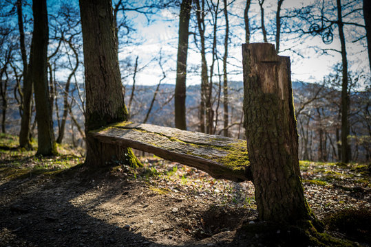 A bench in the woods of Boppard