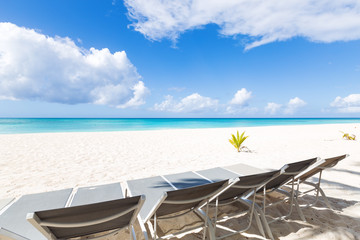 Fototapeta na wymiar Beach scene with sunbeds under coconut palms