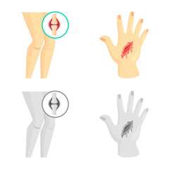 Vector illustration of hospital and rendering icon. Set of hospital and help stock symbol for web.