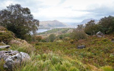 Fototapeta na wymiar Top view of the scenic autumnal Irish landscape