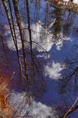 Приход весны