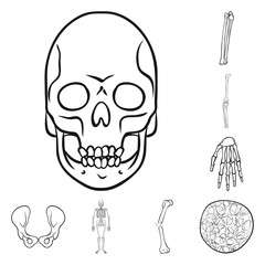 Isolated object of medicine and clinic symbol. Collection of medicine and medical stock symbol for web.