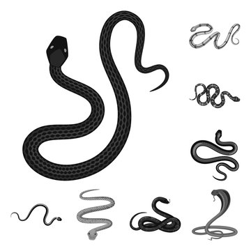 Vector design of harm and bite logo. Set of harm and reptile stock symbol for web.