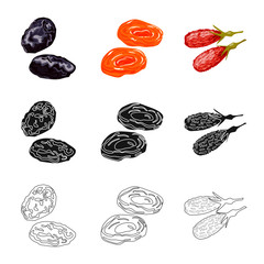 Vector illustration of food  and raw  sign. Collection of food  and nature   stock vector illustration.