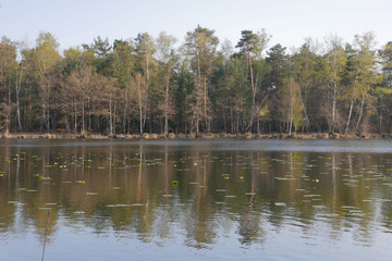 Fototapeta premium Rive du Lac, Sologne France