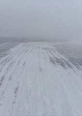 Field and white frozen trees in fog in winter, aerial view from the high