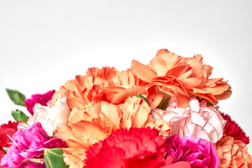 variety of colorful carnation flowers on white background, space for text