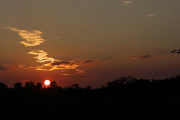Sonnenuntergang Krüger Park / Sundown Kruger Park /