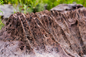 Curious rock in rural area in Bolivia.
