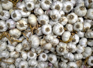 Garlic for sale in market