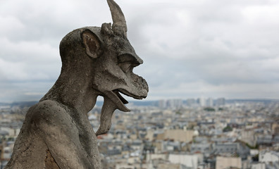 statue of a gargoyle the mythical winged monster of Notre Dame d