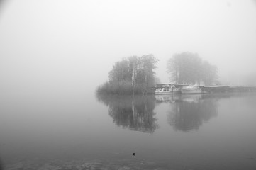 nebel am see © Elena