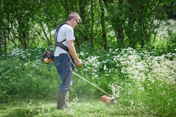 Gardener is working on his household plot, he is trimming the grass. © Artem