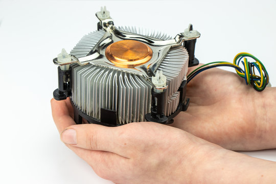 Processor cooler in men's hands