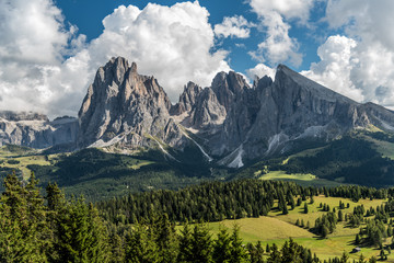 View of the Saslonch, Sassolungo or Langkofel, the highest mountain of the Langkofel Group from Alpe di Siusi or Seiser Alm in the Dolomites in South Tyrol, Italy