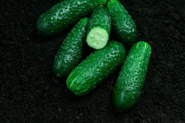 vegetable cucumbers ground black background ripe mature green greens several