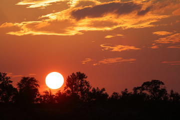 Sonnenuntergang Krüger Park / Sundown Kruger Park /