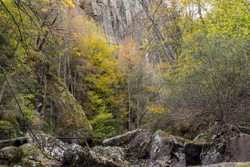 Fototapeta na wymiar Amazing view of Devin river gorge, Rhodope Mountains, Bulgaria