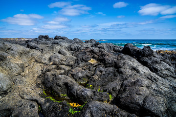 Fototapeta na wymiar Spain, Lanzarote, Fantastic black lava rock covered by green algae at north coast near orzola