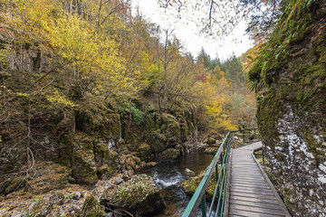 Amazing view of Devin river gorge, Rhodope Mountains, Bulgaria