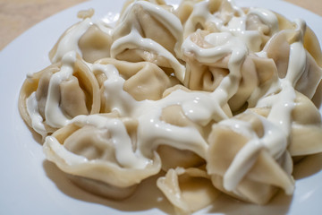 a plate of hot Russian meat dumplings on a white plate, top view still life