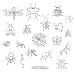 Fototapeta na wymiar Vector set of black and white insects. Collection of isolated on white background monochrome bee, bumble bee, may-bug, fly, moth, butterfly, caterpillar, spider, ladybug