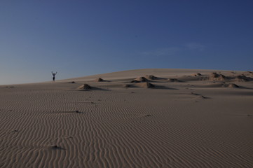 Dunas Jericoacoara