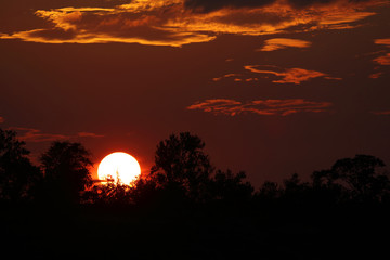 Sonnenuntergang Krüger Park / Sundown Kruger Park /