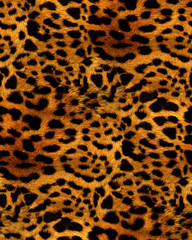 Animal print pattern