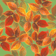 Yellow-red leaves pattern on green background