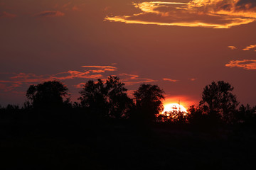 Sonnenuntergang Krüger Park / Sundown Kruger Park /