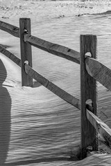 Assateague Island Sand Dune with Split Rail Fence
