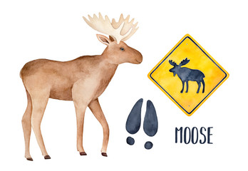 Moose drawing collection with big funny animal, black track and road warning sign. Hand drawn watercolour painting on white background, cut out clipart elements for creative design, print, stickers.