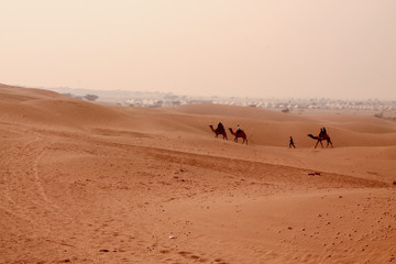 Fototapeta na wymiar Shapes of the desert sand