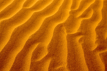 Shapes of the desert sand