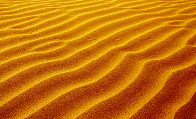 Shapes of the desert sand