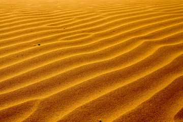 Shapes of the desert sand