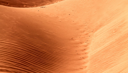 Shapes of the desert sand