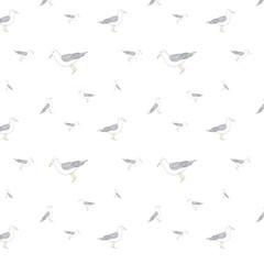 Sea gull seamlless pattern bird illustration on white background