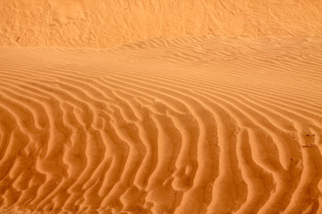 Shapes of the desert sand