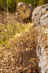 Nesting under log 2