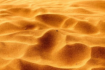 Shapes of the desert sand