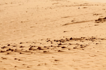 Shapes of the desert sand