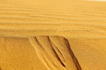 Shapes of the desert sand