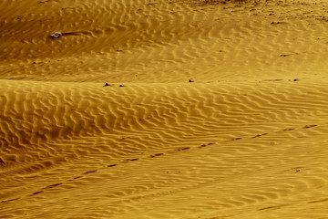 Shapes of the desert sand